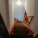 Frosch Haus Apartment *