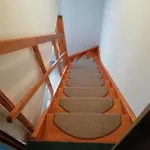 Frosch Haus Apartment *