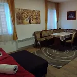 Frosch Haus *