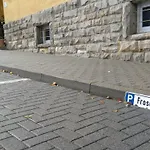 Frosch Haus * Cattenstedt