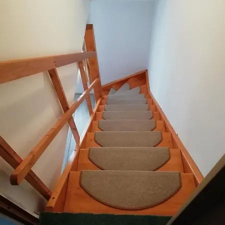 Frosch Haus Apartment *