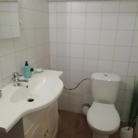 Frosch Haus