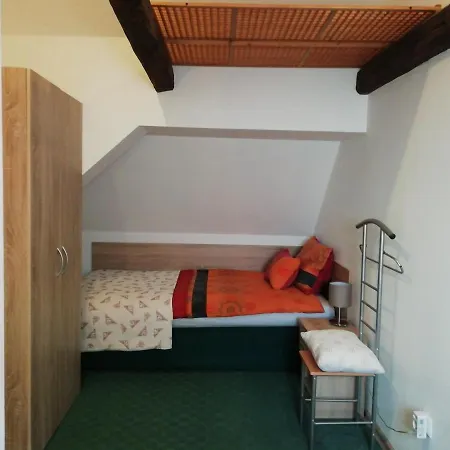 Frosch Haus Apartament