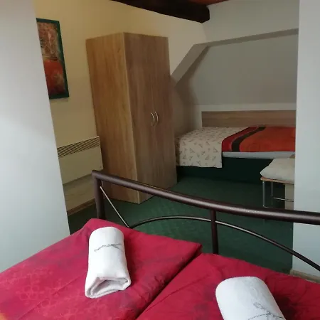 Frosch Haus Apartament *