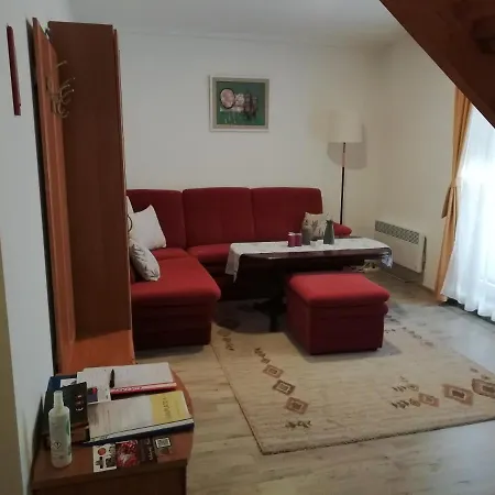 Frosch Haus Apartament *