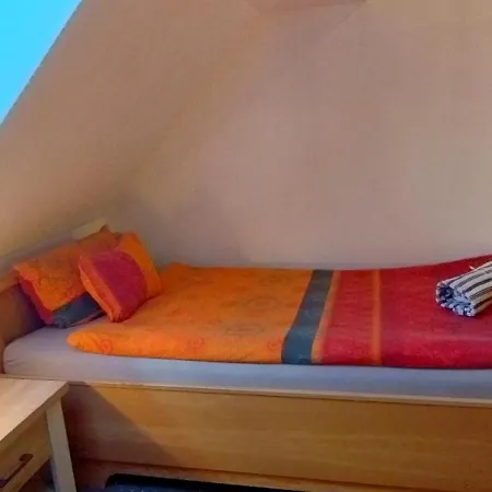 Frosch Haus