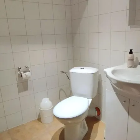 Frosch Haus *