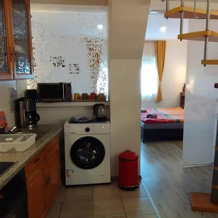 Frosch Haus Apartment