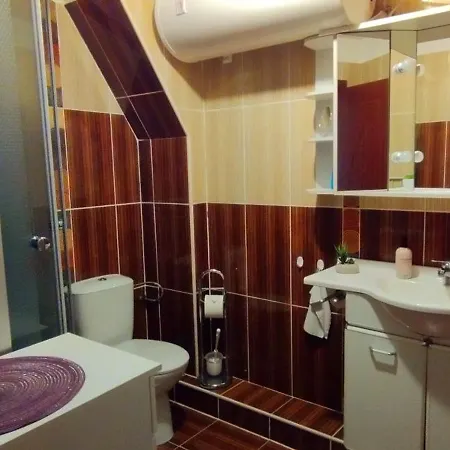 Frosch Haus Apartment