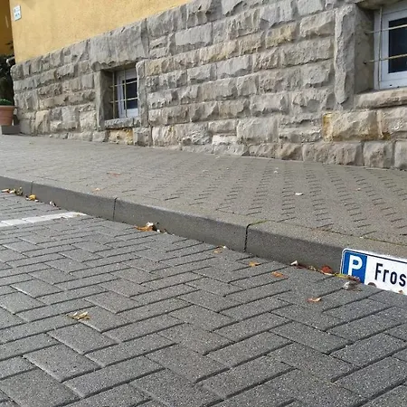 Frosch Haus * Cattenstedt