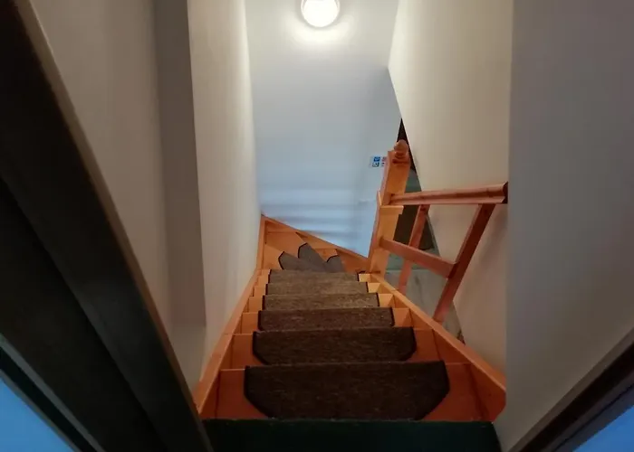 Frosch Haus شقة *