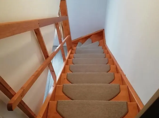 Frosch Haus شقة *